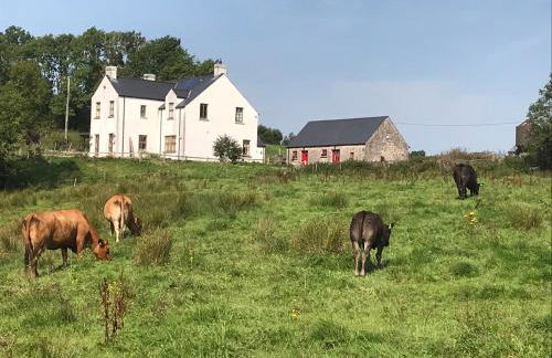 Minnie’s Cottage - Foto 4