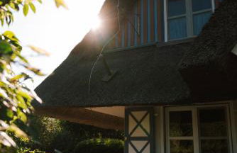 Sünn un See - Hortensienblick - Foto 16