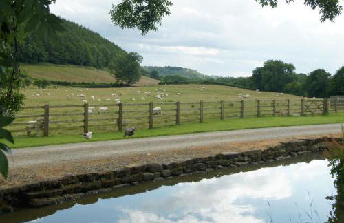 Experience the Peace & Quiet in the North York Moors at Rawcliffe House Farm - Foto 61