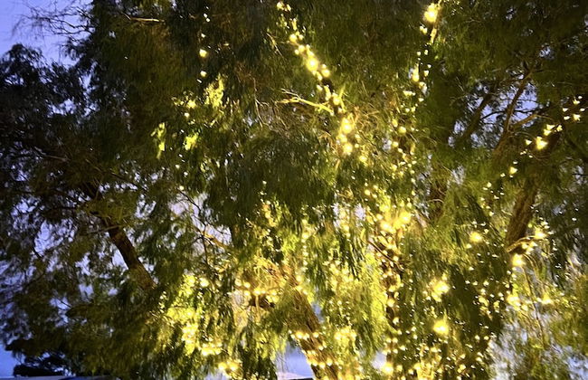 South Coast Retreat - Foto 1