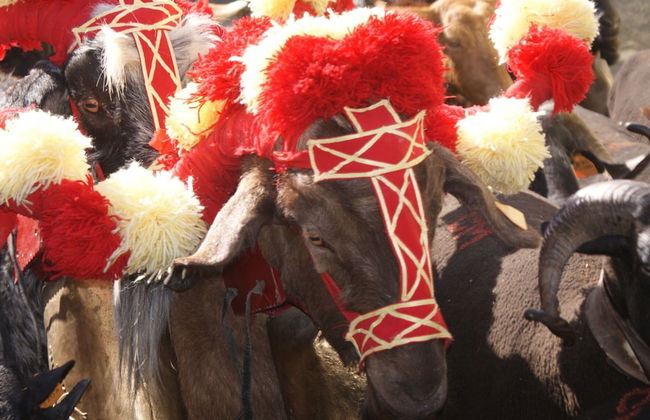 Holiday Home in Covas With Eco Pool - Foto 20