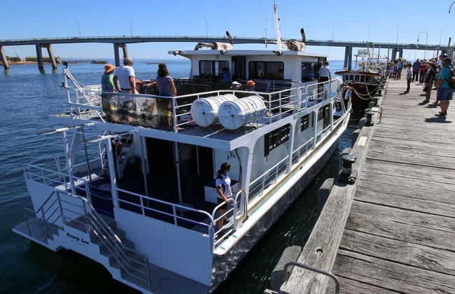 Paseo en barco por la Isla Phillip - Foto 3