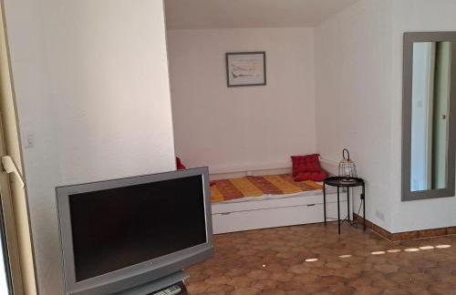 PIN ROLLAND - Photo 4