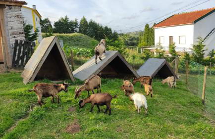 Casa Gil, Quinta Carmo - Alcobaça/ Nazaré - Foto 25