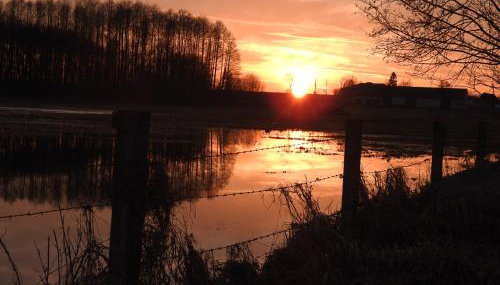 Agroturystyka Biebrzańska Kraina - Foto 3