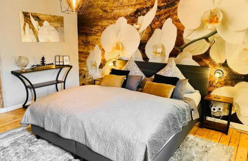 65qm Luxus Apartment mit Whirlpool Saarbrücken Uni Nähe - Foto 1