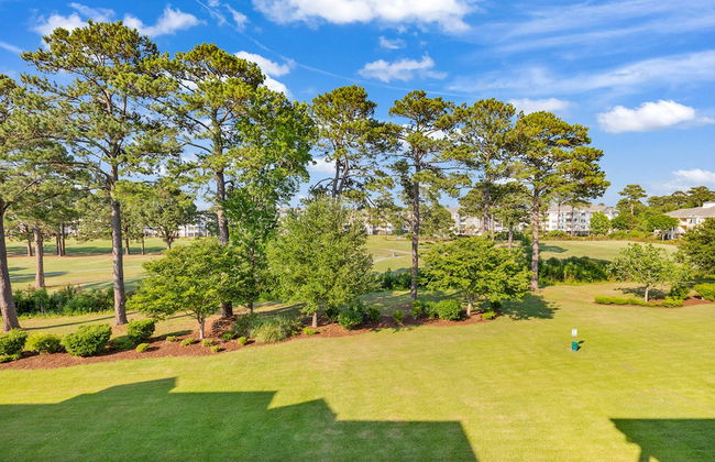 Magnolia Pointe at Myrtlewood - Photo 29