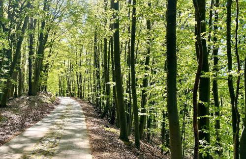 Ferienhaus am Mümmelbrook - Foto 30