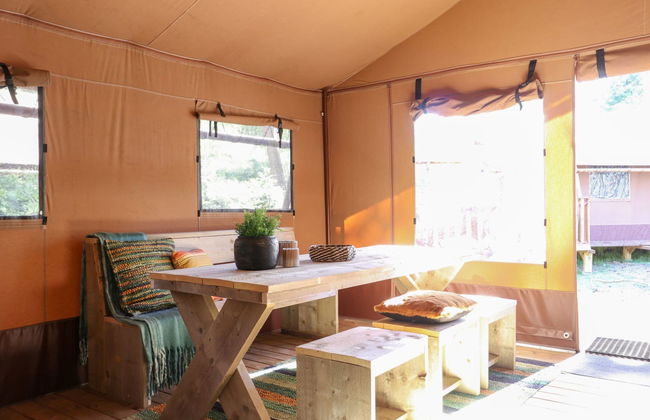 2 bedroom House in Otterlo with swimming pool and terrace - Photo 2