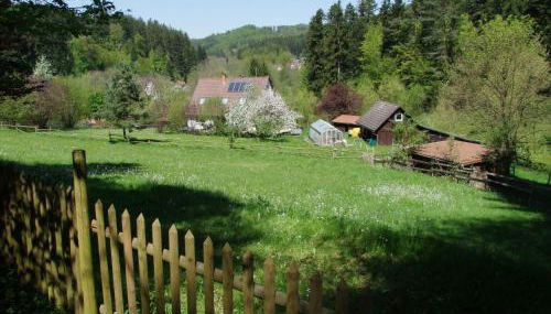 Wonderworld - Foto 3, Garden, Garden view