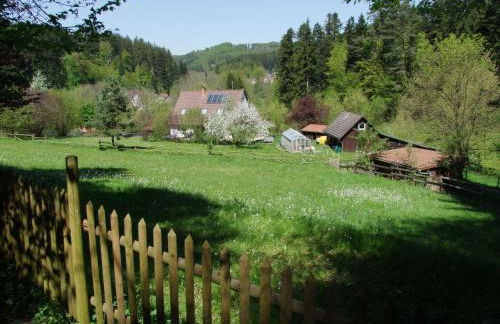 Wonderworld - Foto 3