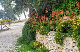 Lunamora 4 - Foto 52