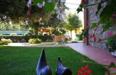 Agriturismo Il Cuscino Nel Pagliaio - Foto 12