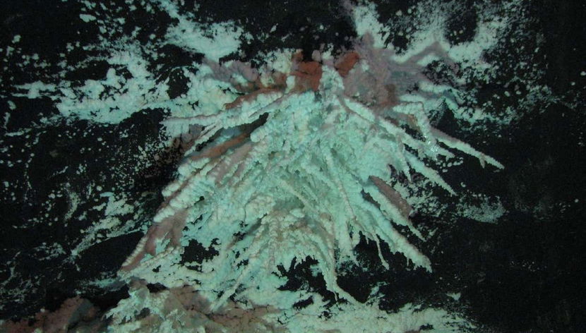 Nemocón Salt Mines Tour - Foto 2