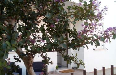 The judas trees - Foto 26