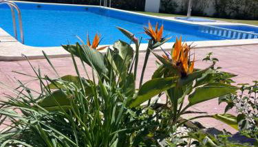 Cala puntal - Foto 5