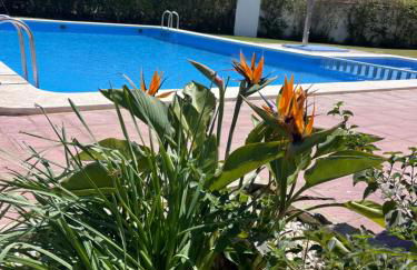 Cala puntal - Foto 5