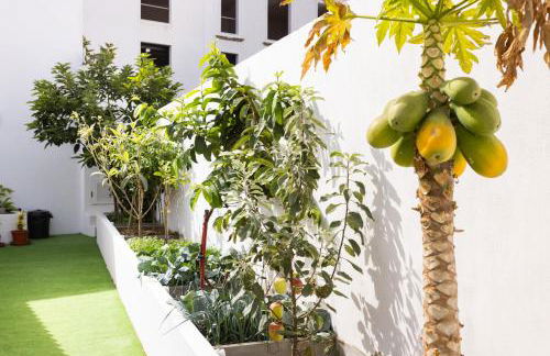 Live La Caleta Villa Clavijo - Foto 17