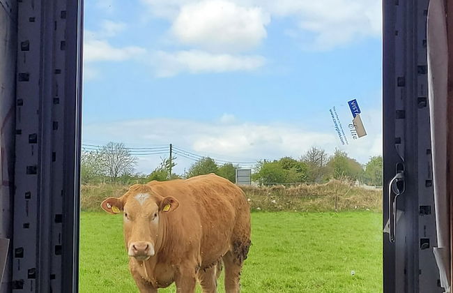 Immaculate 2-bed Cottage in Tuam - Foto 28