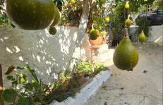 Casa Violeta by 8essentially - Photo 25