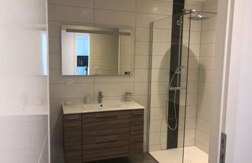 Appartement Magnîolia proche centre Ville - Foto 8