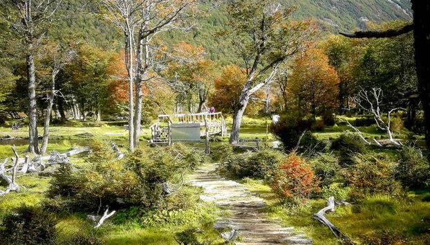 Une partie du chemin de randonnée