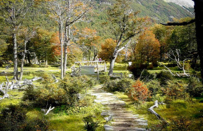 Vinciguerra Glacier Hike - Photo 2