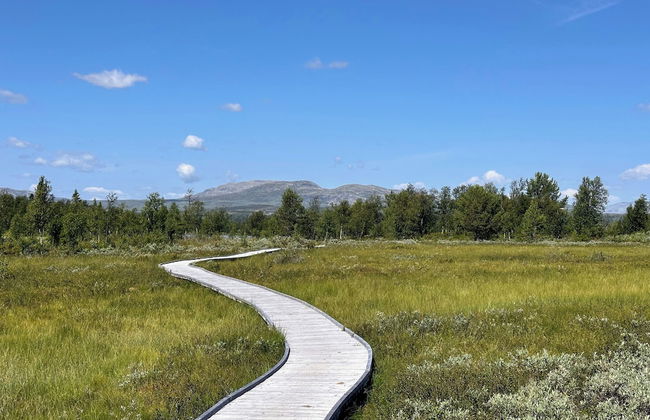 Modern Mountain Cabin - 3 Bedrooms - Sleeps 7 - Foto 42