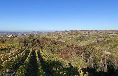 Agriturismo Bianconiglio - Foto 58