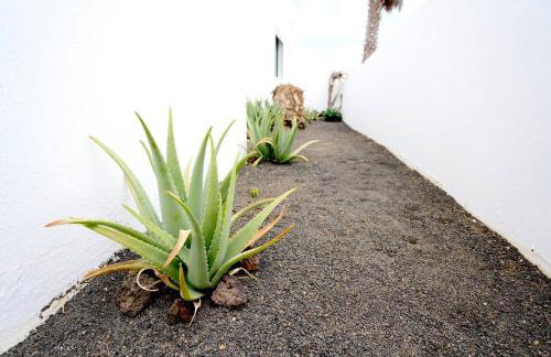 Kalendra Rofe · Amplia y tranquila cerca del mar - Foto 37