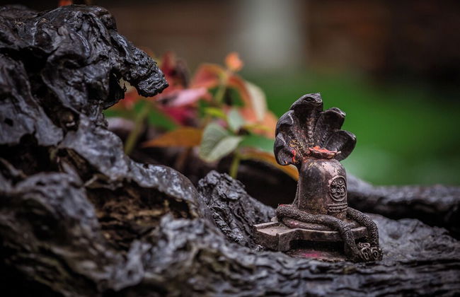 Mingtang Boutique Cottage - Photo 64