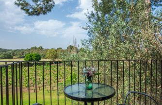 Finca Agroturismo Son Menut - Foto 115