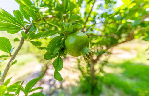 Casa Pájaro Colores in Bolonia - Foto 75