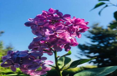 Havel Houseboat Serenity - Foto 22