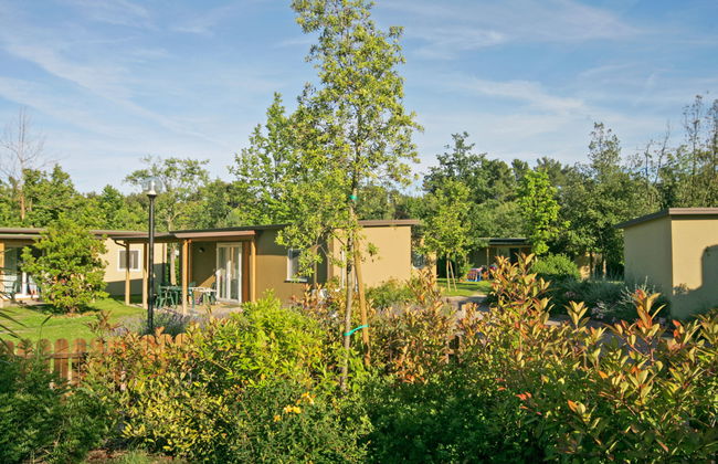 Laguna Mini - Photo 5