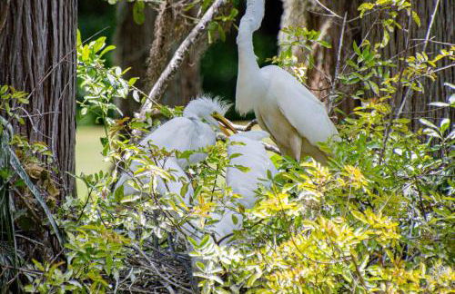 Matchless Luxury II on Mill Pond - Foto 38