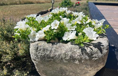 El MIRADOR DEL TORMES - Foto 47