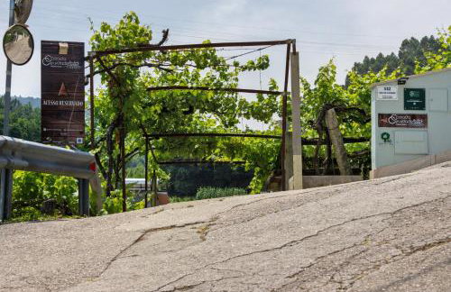 Quinta Da Cevidade - Foto 40