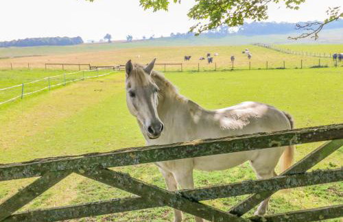Todridge Barn - Foto 32