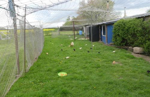Ferienhaus Fischerhaus, Doppelhaushälfte, Terrasse und Garten, Lancken Granitz - Foto 22