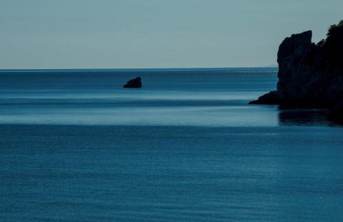 Feel at Home - Photo 32