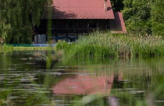 "Rózin Pstrągarnia" domki całoroczne Jura Krakowsko-Częstochowska - Foto 44