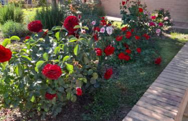 Un passo alla volta - Foto 1