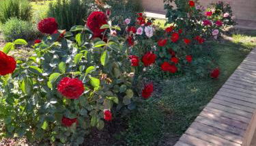 Un passo alla volta - Foto 1, Garden, Garden view