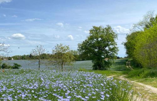 Les Rives de Chenonceaux - Foto 23