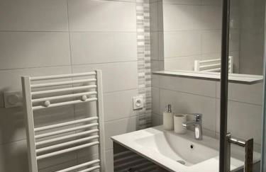 Mulhouse hyper centre - Grand T3- Aux bons enfants - Foto 3