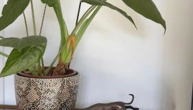 A beautiful luxury home, perfect for Goodwood, Chichester, Arundel & beaches - Foto 5