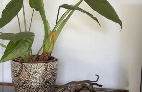 A beautiful luxury home, perfect for Goodwood, Chichester, Arundel & beaches - Foto 5