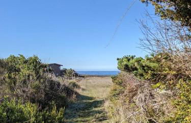 Paseo Del Mar - Foto 8