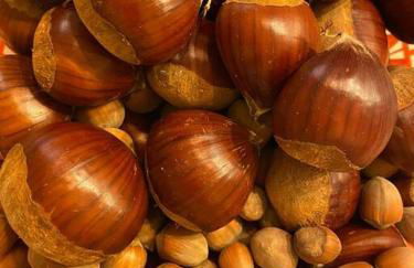 Etna Charming Apartment - Foto 22